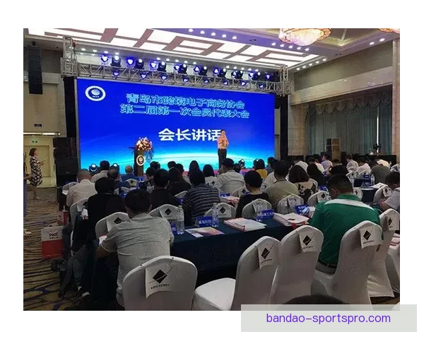 以半岛平台为核心探讨区域经济发展新机遇与挑战